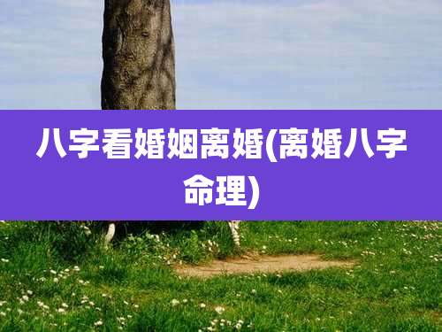 八字看婚姻离婚(离婚八字命理)