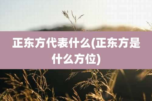正东方代表什么(正东方是什么方位)