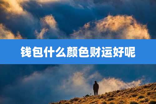 钱包什么颜色财运好呢