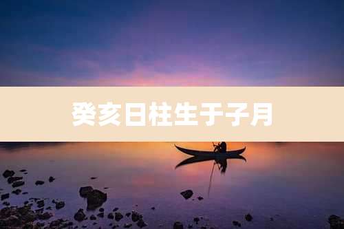癸亥日柱生于子月