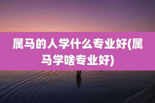 属马的人学什么专业好(属马学啥专业好)