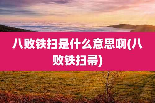 八败铁扫是什么意思啊(八败铁扫帚)