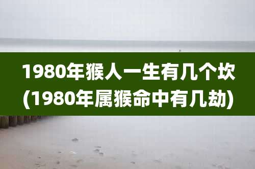 1980年猴人一生有几个坎(1980年属猴命中有几劫)