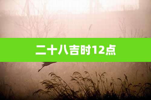 二十八吉时12点