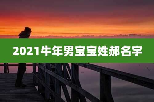 2021牛年男宝宝姓郝名字
