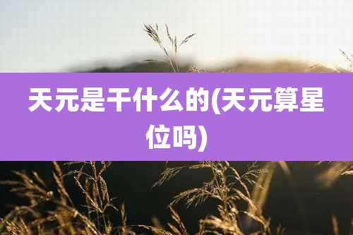 天元是干什么的(天元算星位吗)