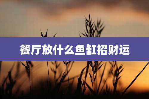 餐厅放什么鱼缸招财运