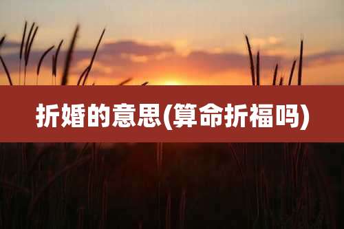 折婚的意思(算命折福吗)