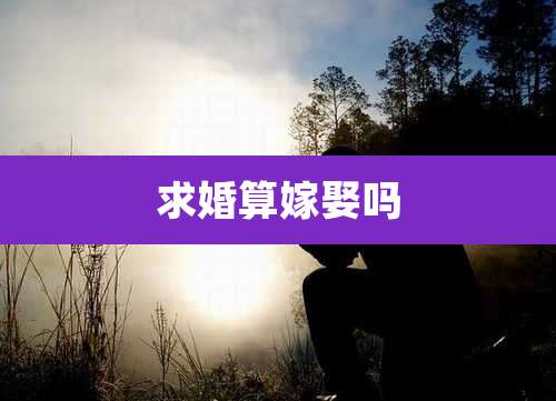 求婚算嫁娶吗