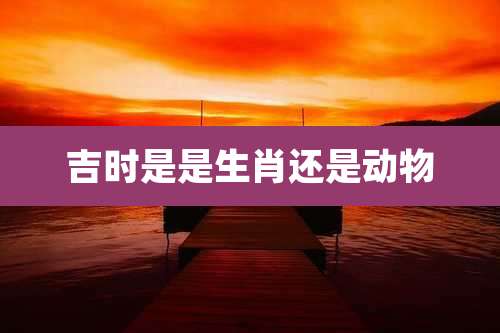 吉时是是生肖还是动物