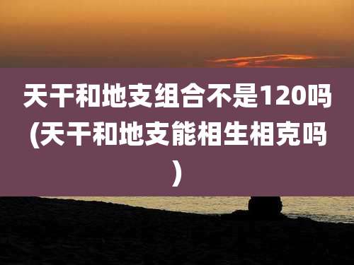 天干和地支组合不是120吗(天干和地支能相生相克吗)