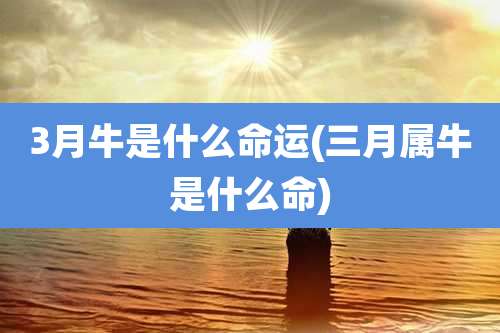 3月牛是什么命运(三月属牛是什么命)