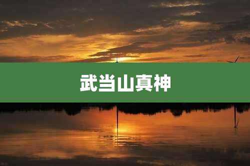 武当山真神