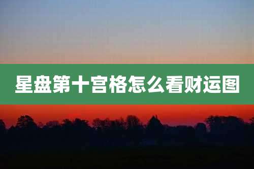 星盘第十宫格怎么看财运图