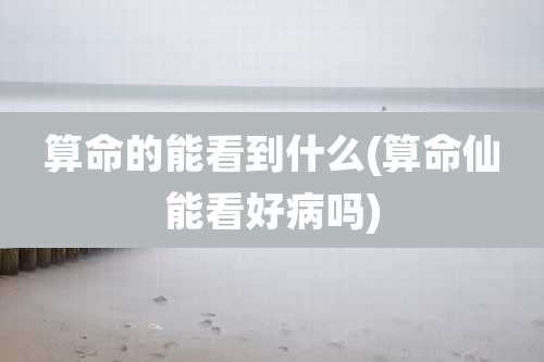 算命的能看到什么(算命仙能看好病吗)