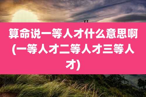算命说一等人才什么意思啊(一等人才二等人才三等人才)