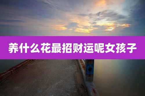 养什么花最招财运呢女孩子