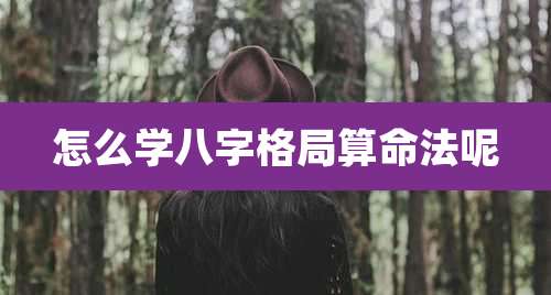 怎么学八字格局算命法呢