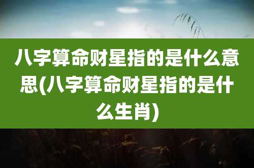八字算命财星指的是什么意思(八字算命财星指的是什么生肖)