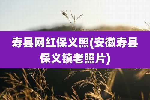 寿县网红保义照(安徽寿县保义镇老照片)