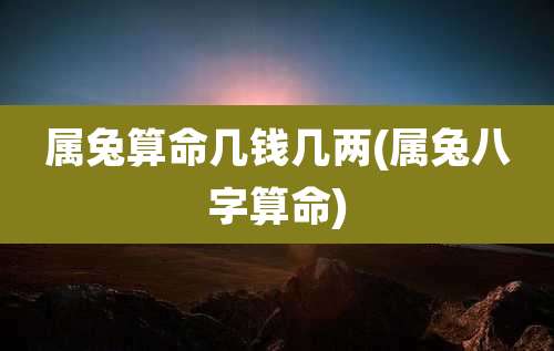 属兔算命几钱几两(属兔八字算命)