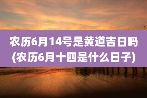 农历6月14号是黄道吉日吗(农历6月十四是什么日子)