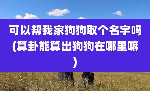 可以帮我家狗狗取个名字吗(算卦能算出狗狗在哪里嘛)