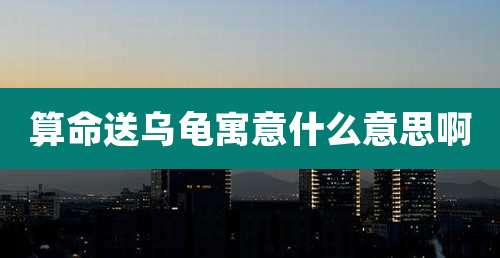 算命送乌龟寓意什么意思啊