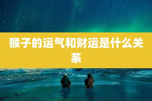猴子的运气和财运是什么关系