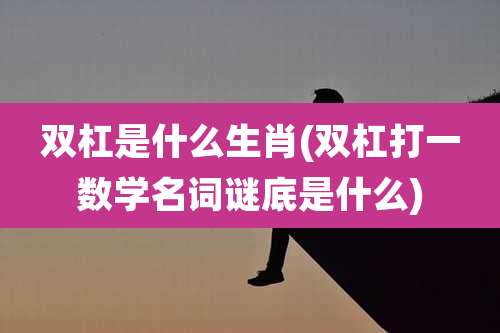 双杠是什么生肖(双杠打一数学名词谜底是什么)