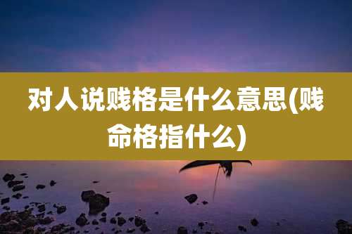 对人说贱格是什么意思(贱命格指什么)
