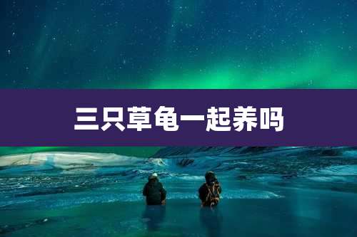 三只草龟一起养吗