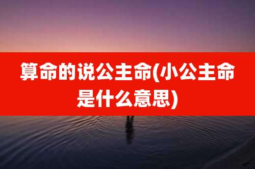 算命的说公主命(小公主命是什么意思)