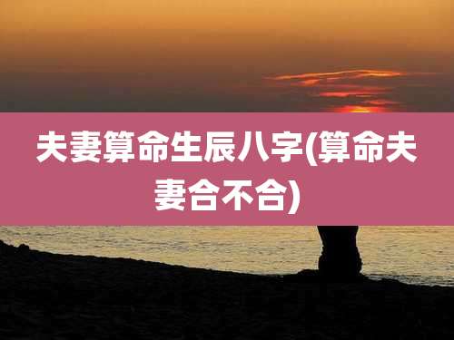 夫妻算命生辰八字(算命夫妻合不合)