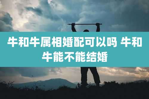 牛和牛属相婚配可以吗 牛和牛能不能结婚