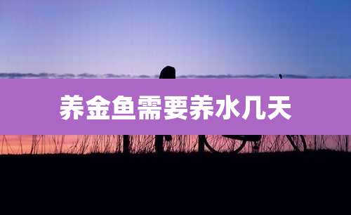养金鱼需要养水几天