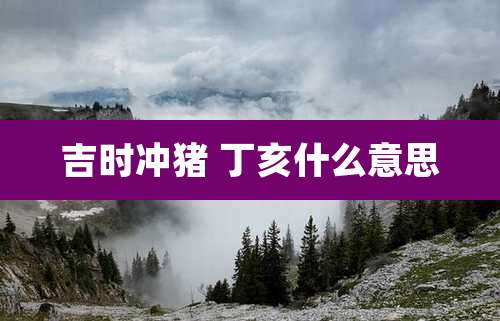 吉时冲猪 丁亥什么意思