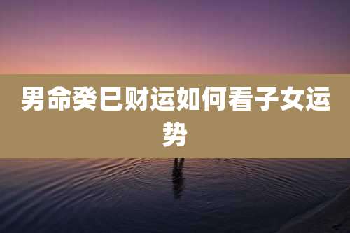 男命癸巳财运如何看子女运势