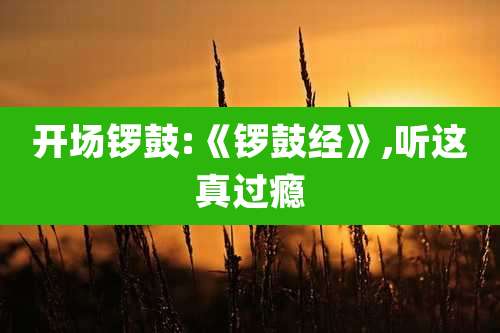 开场锣鼓:《锣鼓经》,听这真过瘾