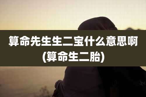 算命先生生二宝什么意思啊(算命生二胎)