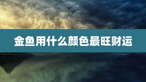金鱼用什么颜色最旺财运