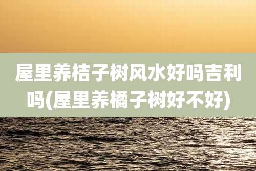 屋里养桔子树风水好吗吉利吗(屋里养橘子树好不好)