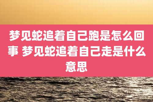 梦见蛇追着自己跑是怎么回事 梦见蛇追着自己走是什么意思