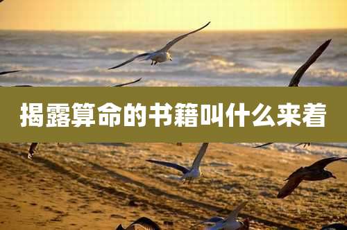 揭露算命的书籍叫什么来着