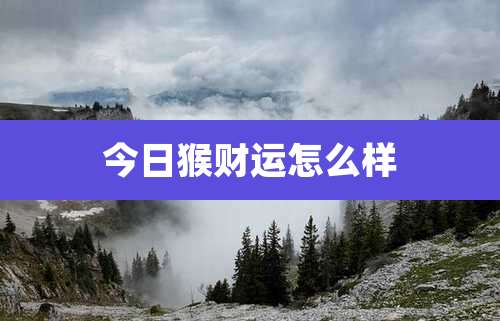 今日猴财运怎么样