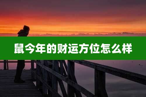 鼠今年的财运方位怎么样