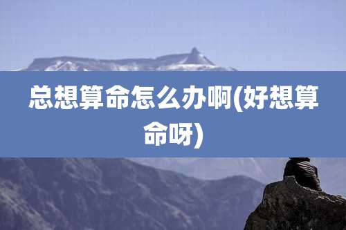 总想算命怎么办啊(好想算命呀)