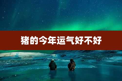 猪的今年运气好不好