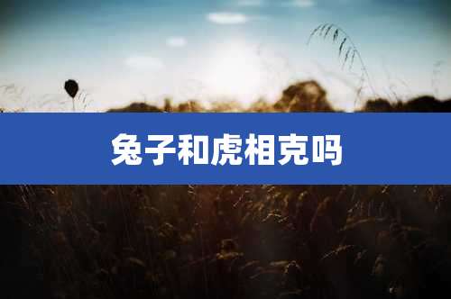 兔子和虎相克吗