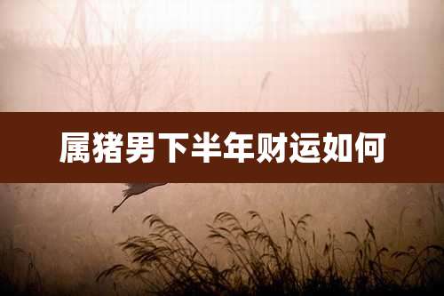 属猪男下半年财运如何
